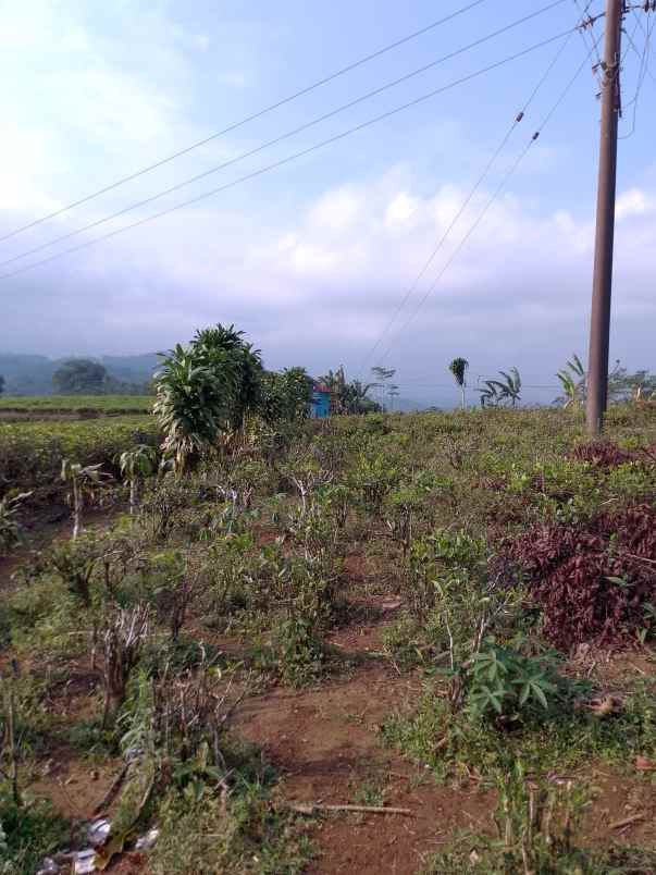 dijual tanah jalan raya taraju tasikmalaya