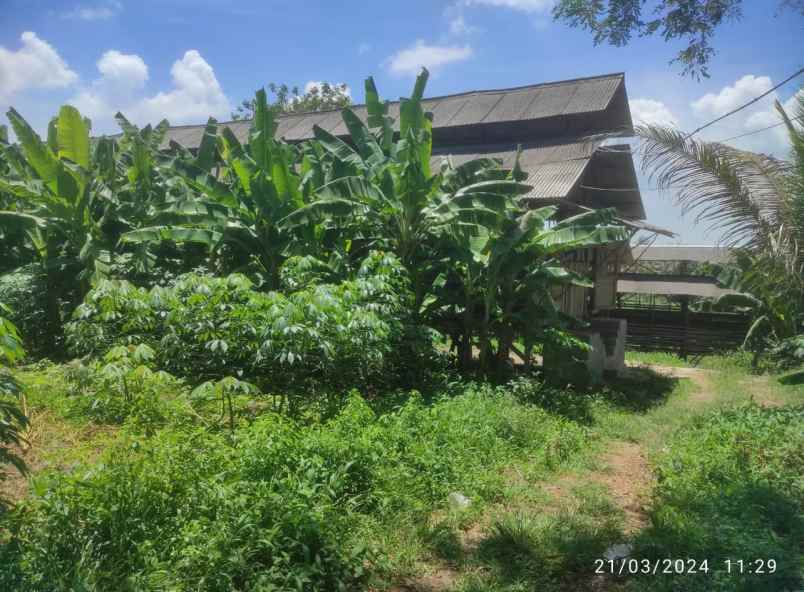 dijual tanah ji tegal bunder no 174