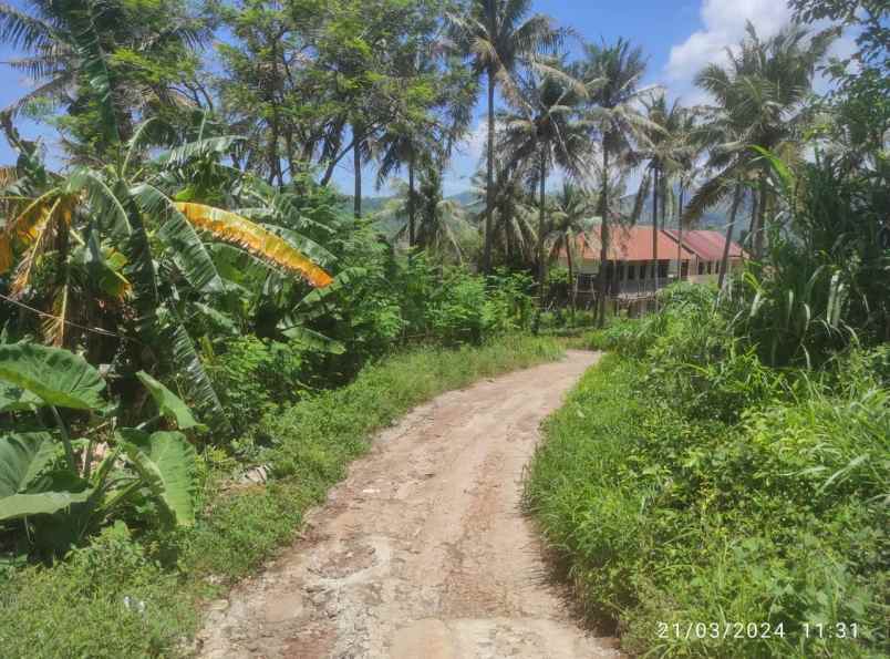 dijual tanah ji tegal bunder no 174