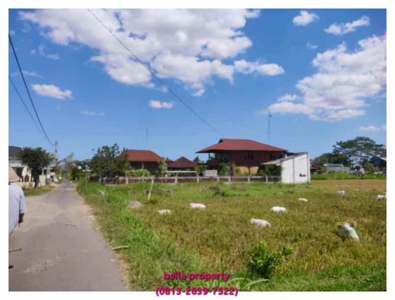 dijual tanah jl damai sleman yogyakarta