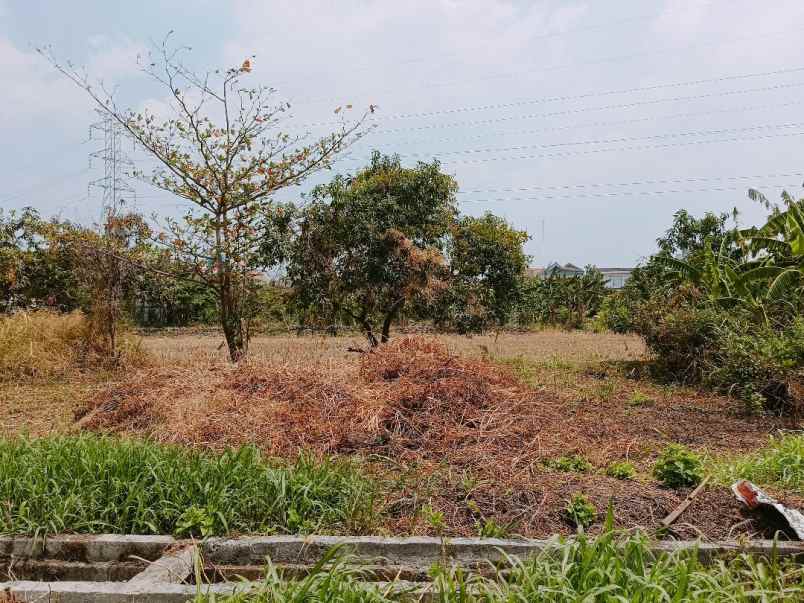 dijual tanah jl ikan lele raya