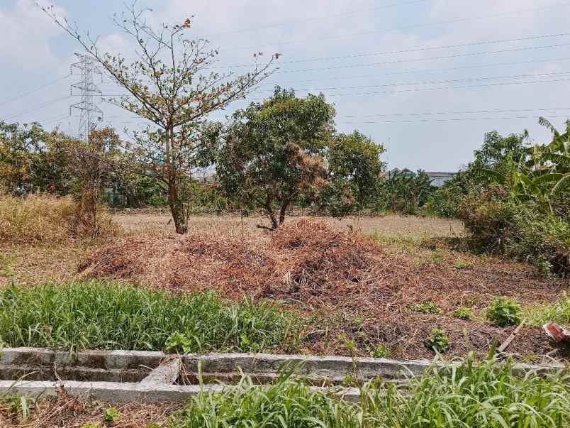 dijual tanah jl ikan lele raya