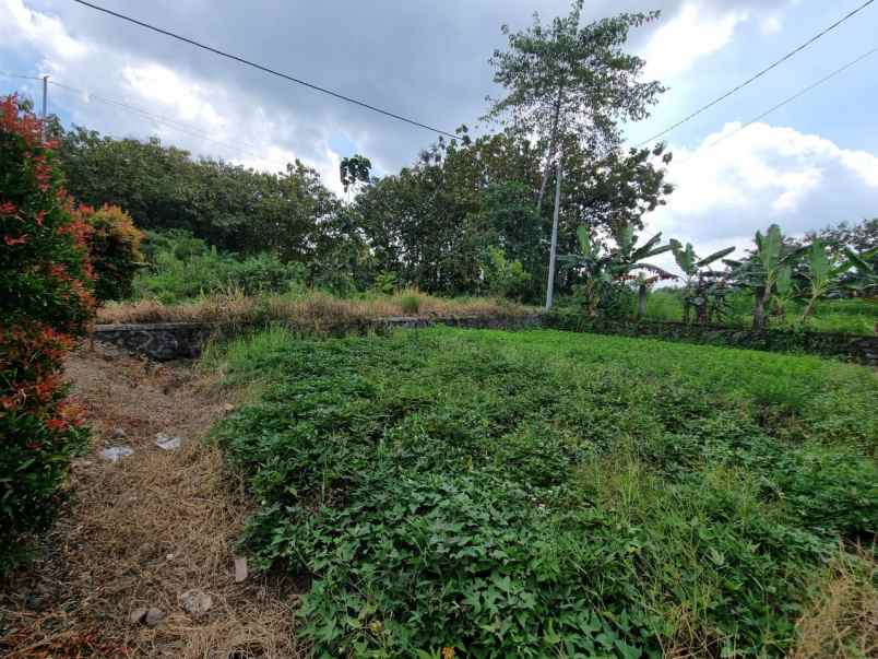 dijual tanah jl kaliurang