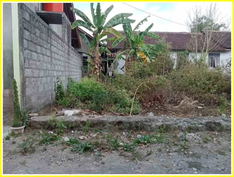 dijual tanah jl kaliurang km 8