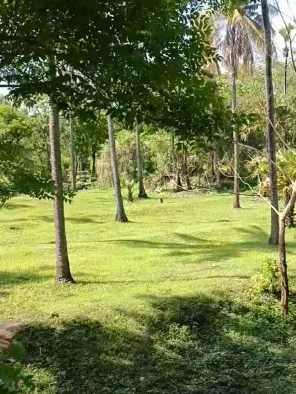dijual tanah jl kubu labasari
