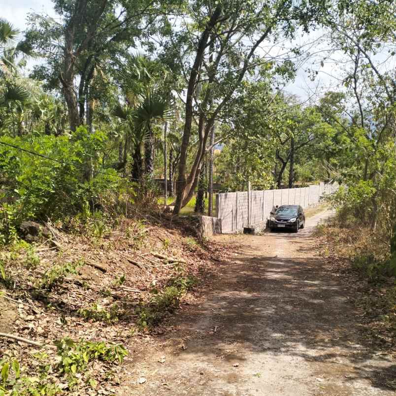 dijual tanah jl kubu labasari