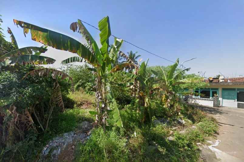 dijual tanah jl ngapak kentheng ngijon