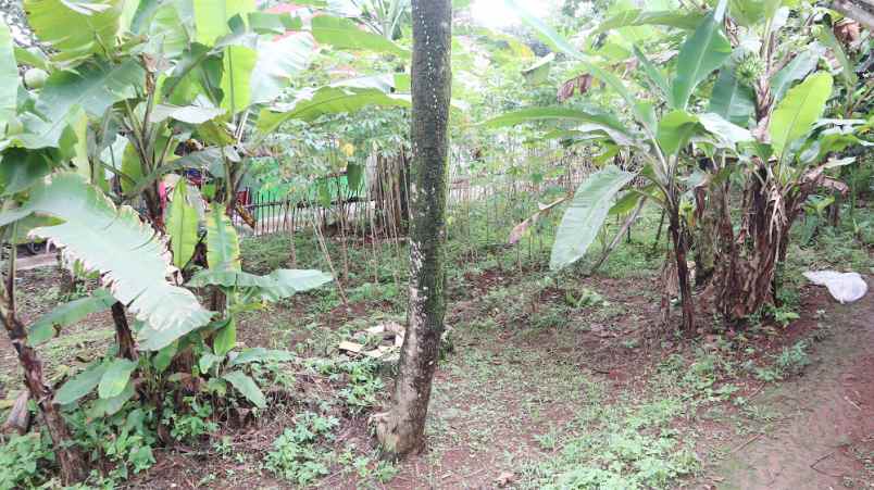 dijual tanah jl puring 4 kel rangkapan