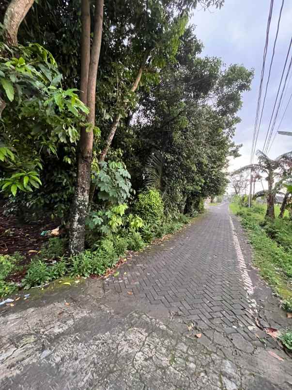 dijual tanah jl rambutan gempol