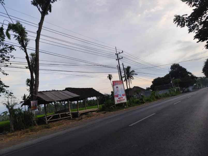 dijual tanah jl raya situbondo