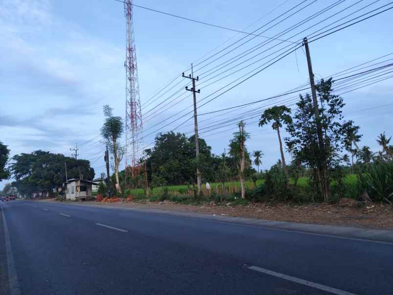 dijual tanah jl raya situbondo