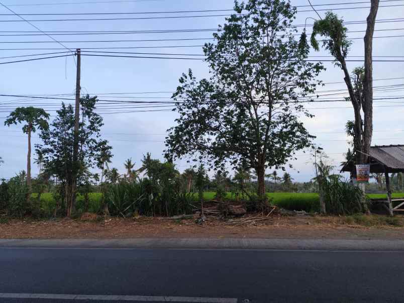 dijual tanah jl raya situbondo