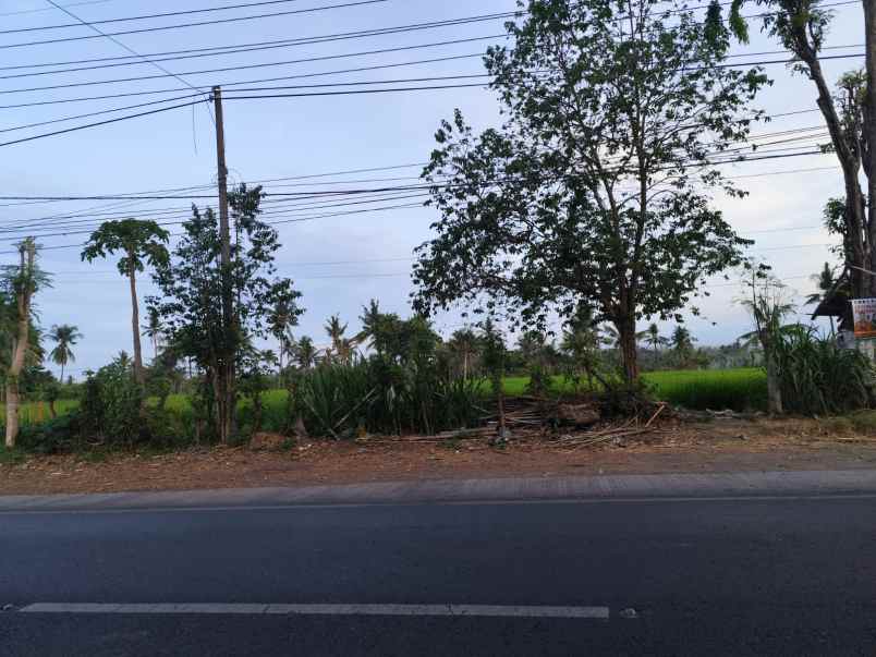 dijual tanah jl raya situbondo