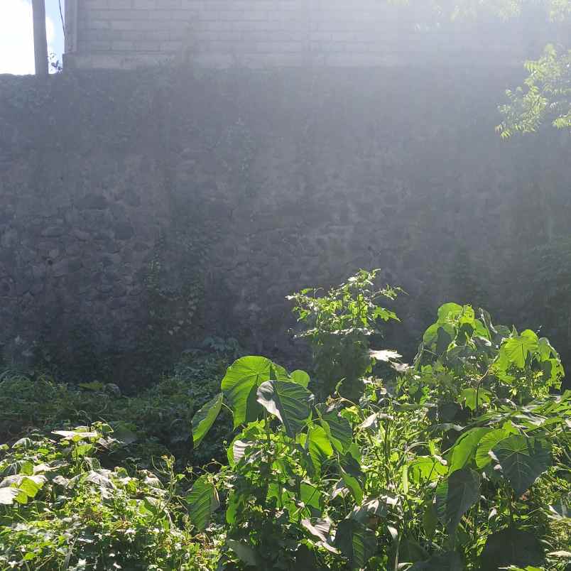 dijual tanah jl suradipa i