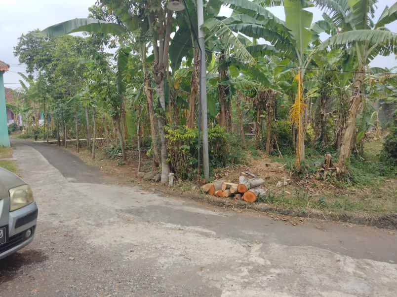 dijual tanah kaliaren