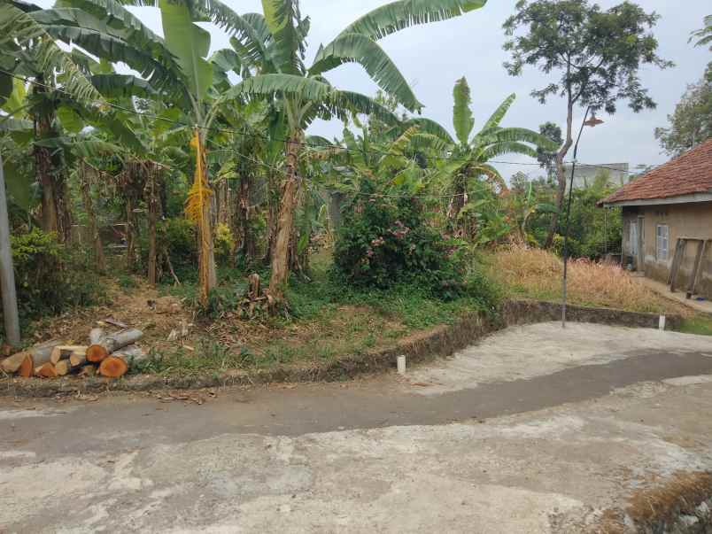 dijual tanah kaliaren