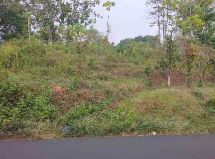 dijual tanah kaliaren