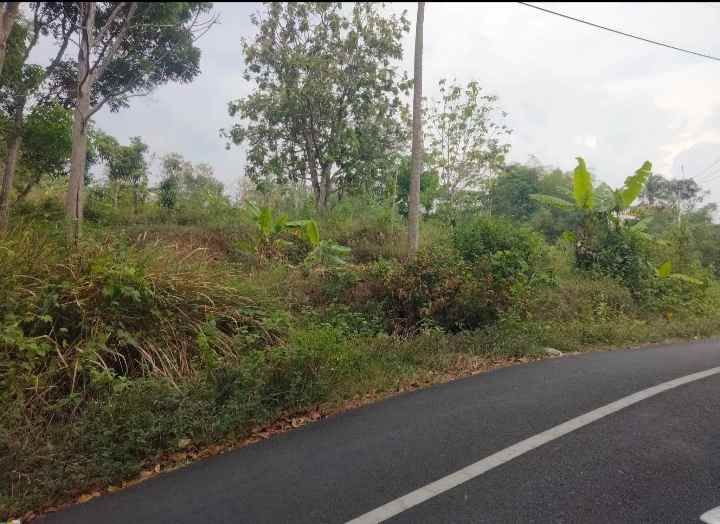 dijual tanah kaliaren