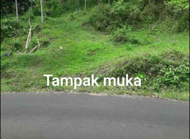 dijual tanah kampung parigi