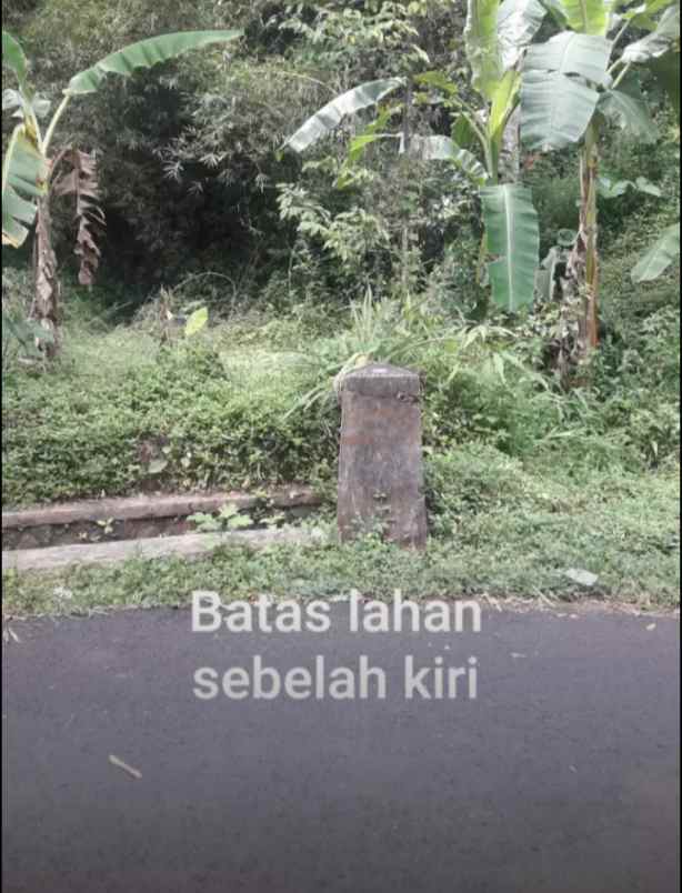 dijual tanah kampung parigi