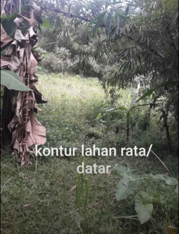 dijual tanah kampung parigi