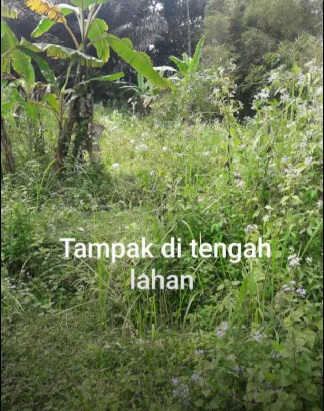 dijual tanah kampung parigi