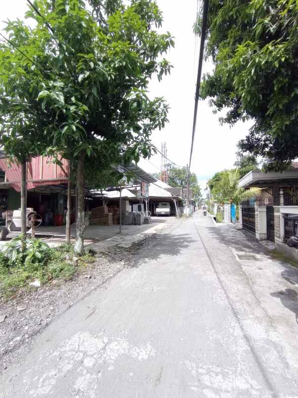 dijual tanah karangasem condong catur