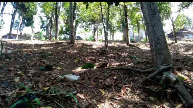 dijual tanah kebun di cilengkrang ujungberung