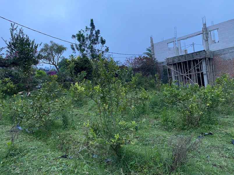 dijual tanah kebun lokasi sejuk di cikahuripan lembang