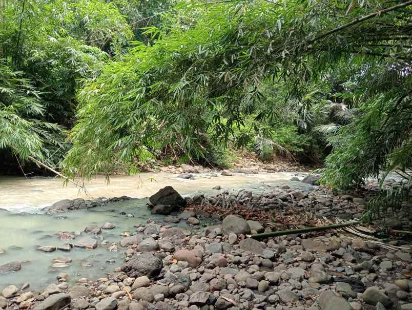 dijual tanah kebun los sungai murah tempat strategis