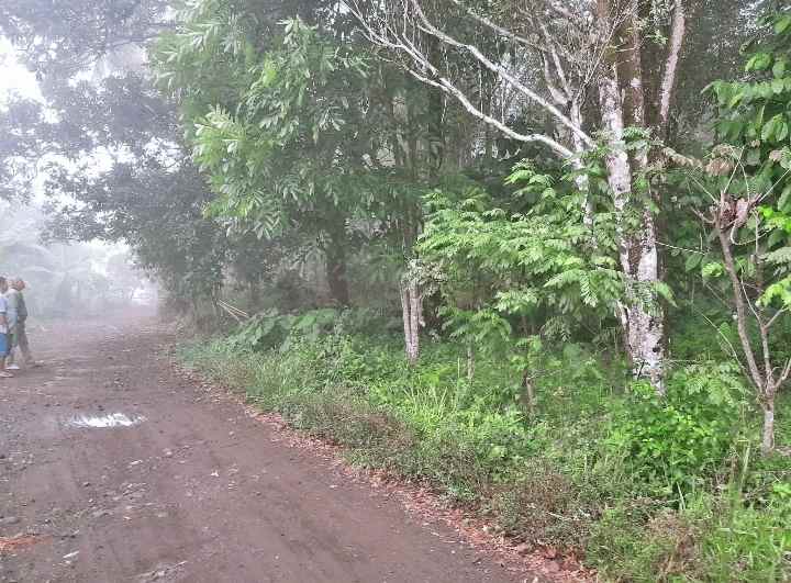 dijual tanah kebun pinggir jalan desa