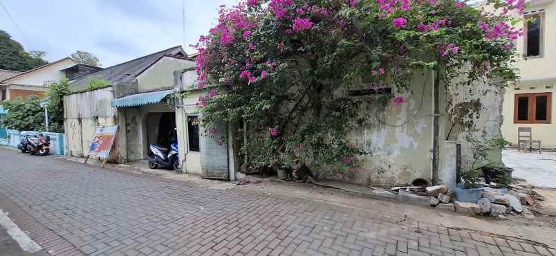 dijual tanah kocoran caturtunggal kec