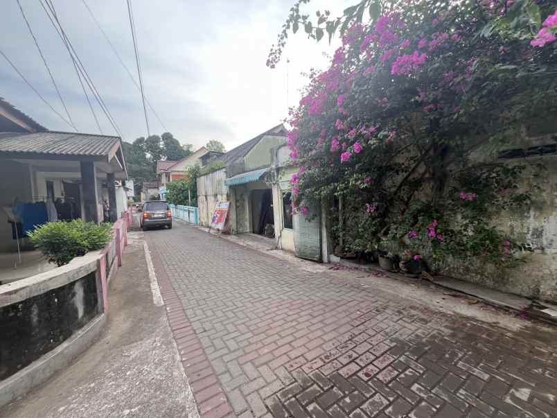 dijual tanah kocoran caturtunggal kec