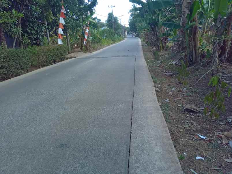 dijual tanah komersil 1 2 ha setu bekasi