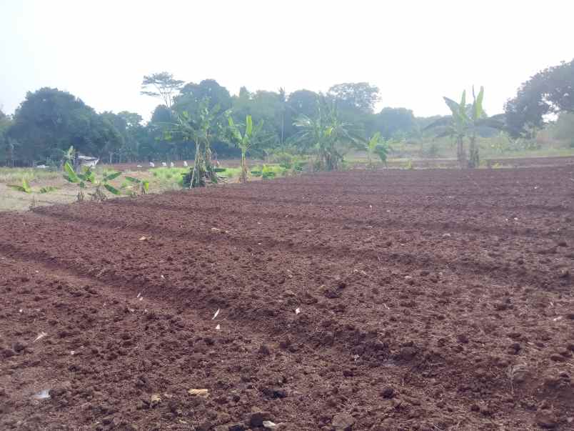 dijual tanah komersil 1 2 ha setu bekasi