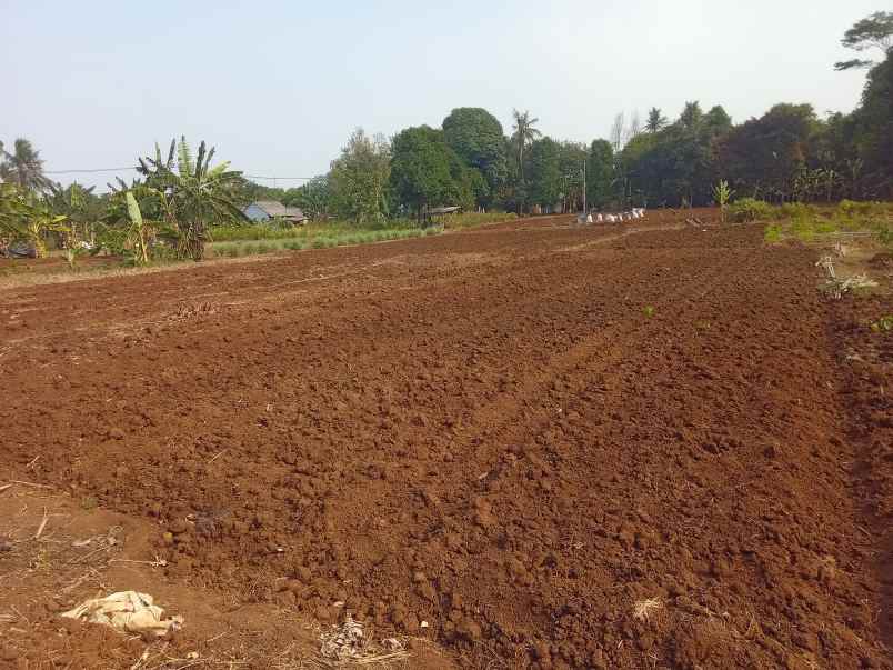 dijual tanah komersil 1 2 ha setu bekasi
