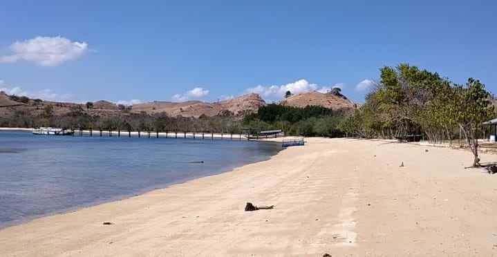 dijual tanah komodo