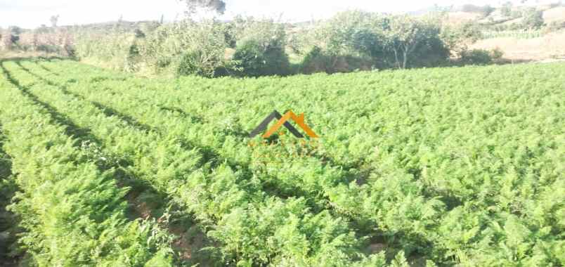 dijual tanah kosong daerah karo sukanalu barusjahe