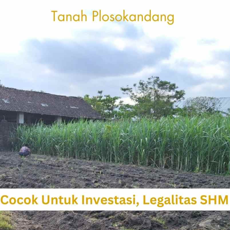 dijual tanah kudusan plosokandang kec