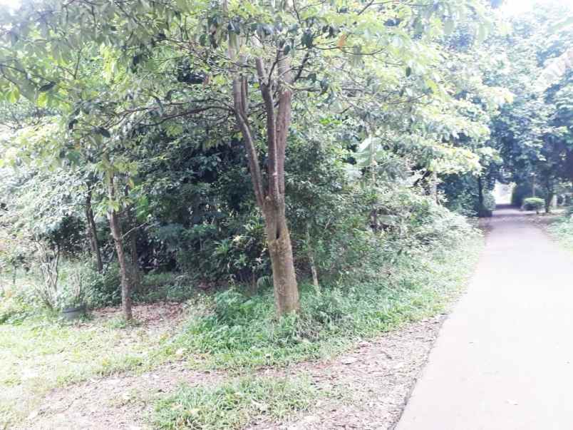 dijual tanah murah harga 900 ribu m2 lokasi strategis