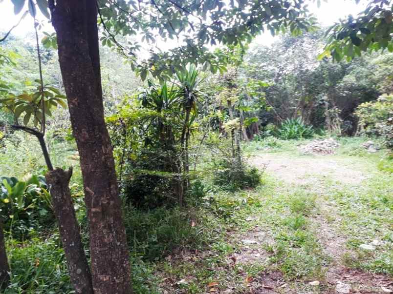 dijual tanah murah harga 900 ribu m2 lokasi strategis