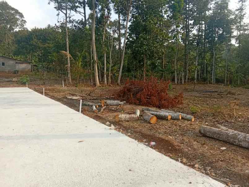 dijual tanah pakintelan