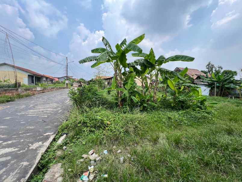 dijual tanah pakjo swadaya