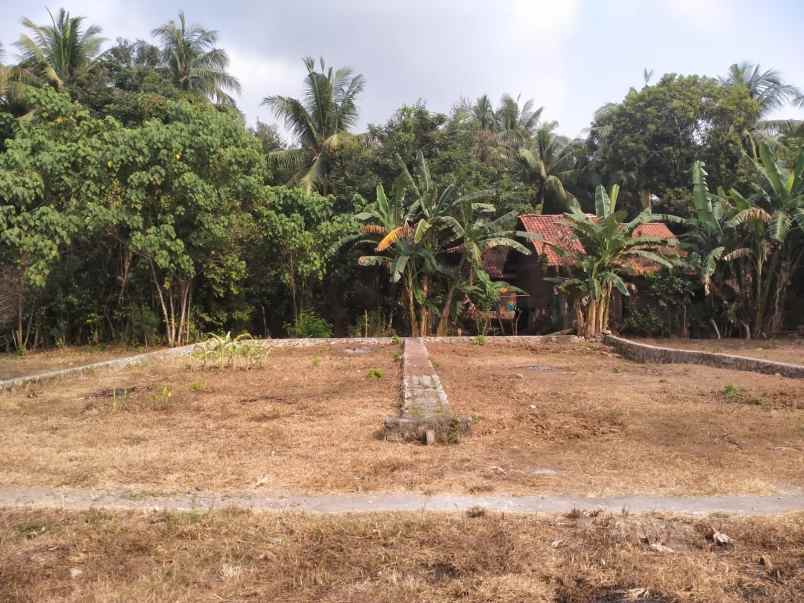 dijual tanah panjatan