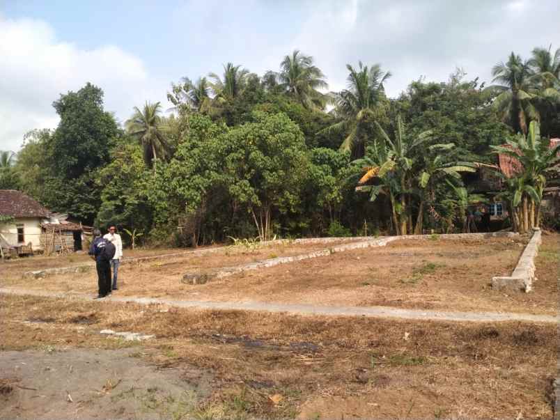 dijual tanah panjatan