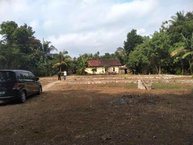 dijual tanah panjatan