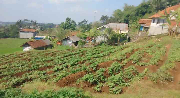 dijual tanah pinggir jalan desa view bagus