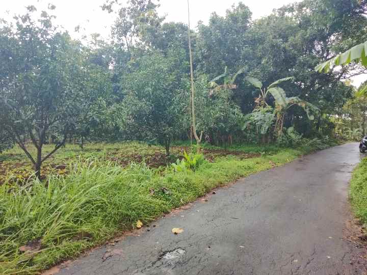 dijual tanah pinggir jl desa sarwadadi