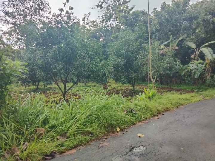 dijual tanah pinggir jl desa sarwadadi