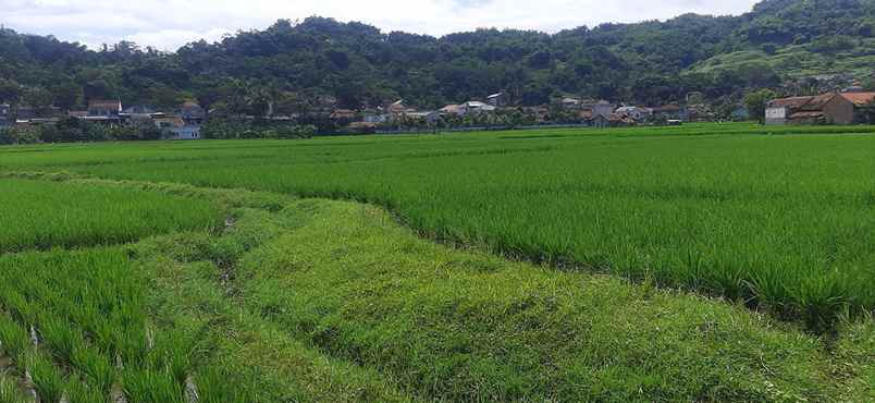 dijual tanah raya cililin cihampelas